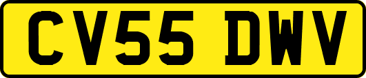 CV55DWV