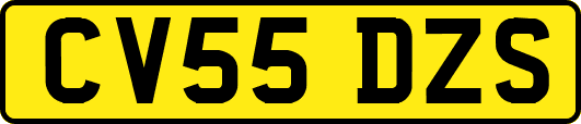 CV55DZS