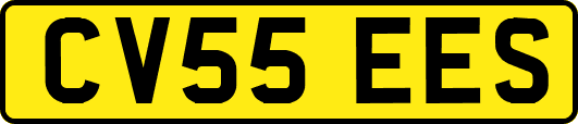 CV55EES
