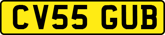 CV55GUB