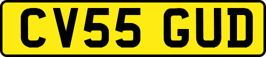 CV55GUD