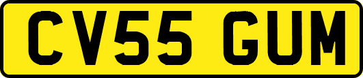 CV55GUM