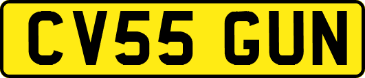 CV55GUN