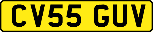 CV55GUV