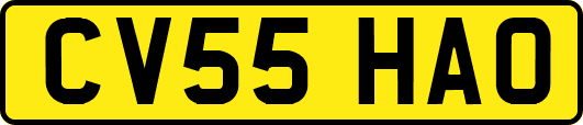 CV55HAO