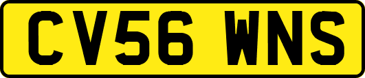 CV56WNS