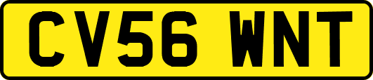 CV56WNT