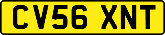 CV56XNT