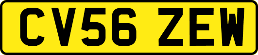 CV56ZEW
