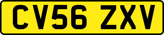 CV56ZXV