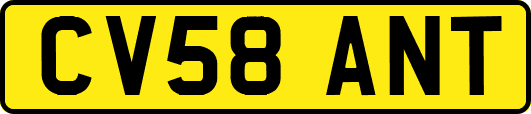 CV58ANT