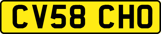 CV58CHO