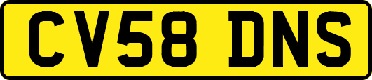 CV58DNS