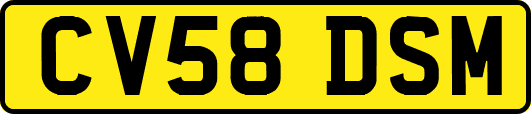 CV58DSM