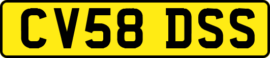 CV58DSS