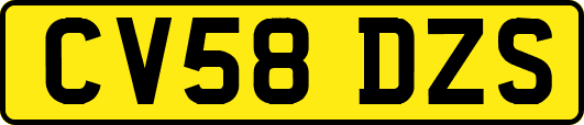 CV58DZS