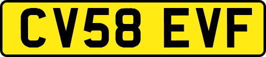 CV58EVF