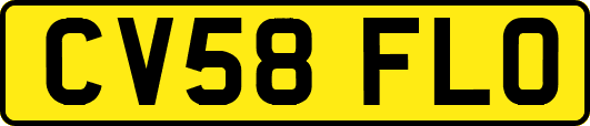 CV58FLO