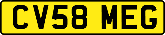 CV58MEG