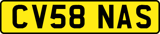 CV58NAS