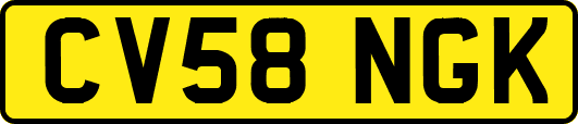 CV58NGK