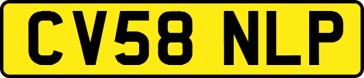 CV58NLP