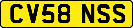 CV58NSS