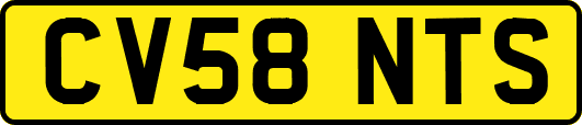 CV58NTS