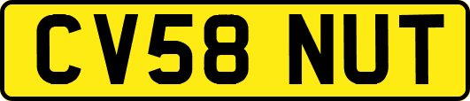 CV58NUT
