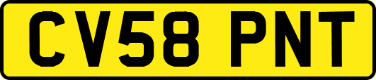 CV58PNT