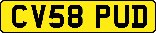 CV58PUD
