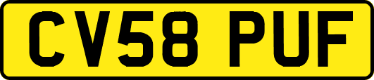 CV58PUF
