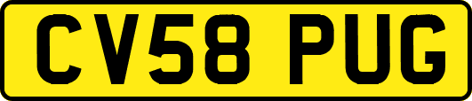 CV58PUG