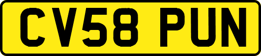 CV58PUN