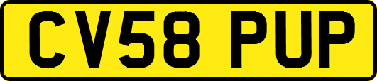 CV58PUP