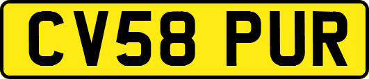 CV58PUR