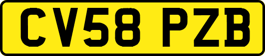 CV58PZB