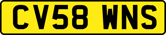 CV58WNS