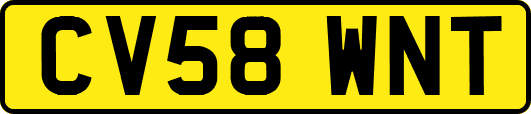 CV58WNT