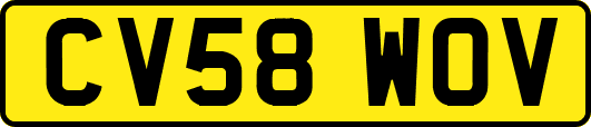 CV58WOV