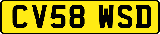 CV58WSD