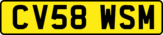 CV58WSM