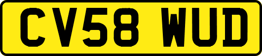 CV58WUD