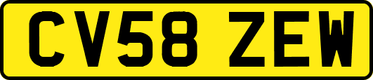 CV58ZEW