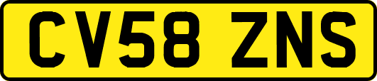 CV58ZNS