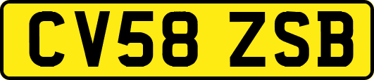 CV58ZSB