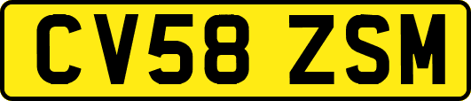 CV58ZSM