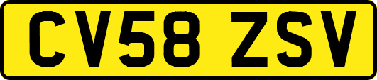 CV58ZSV