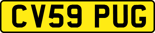 CV59PUG