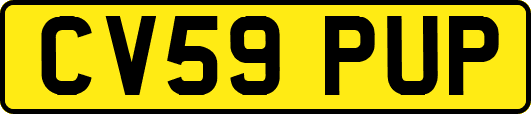 CV59PUP